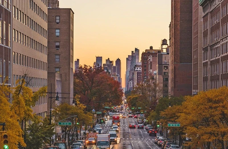 Morningside Heights Neighborhood