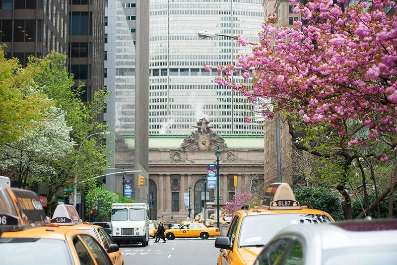 murray hill nyc neighborhood