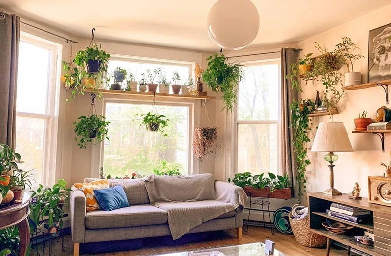 rent stabilized apartment nyc