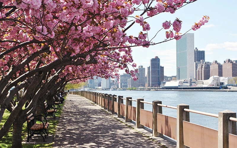roosevelt island guide